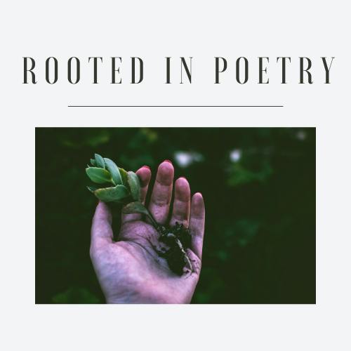 Rooted in Poetry | Shuffle Collective